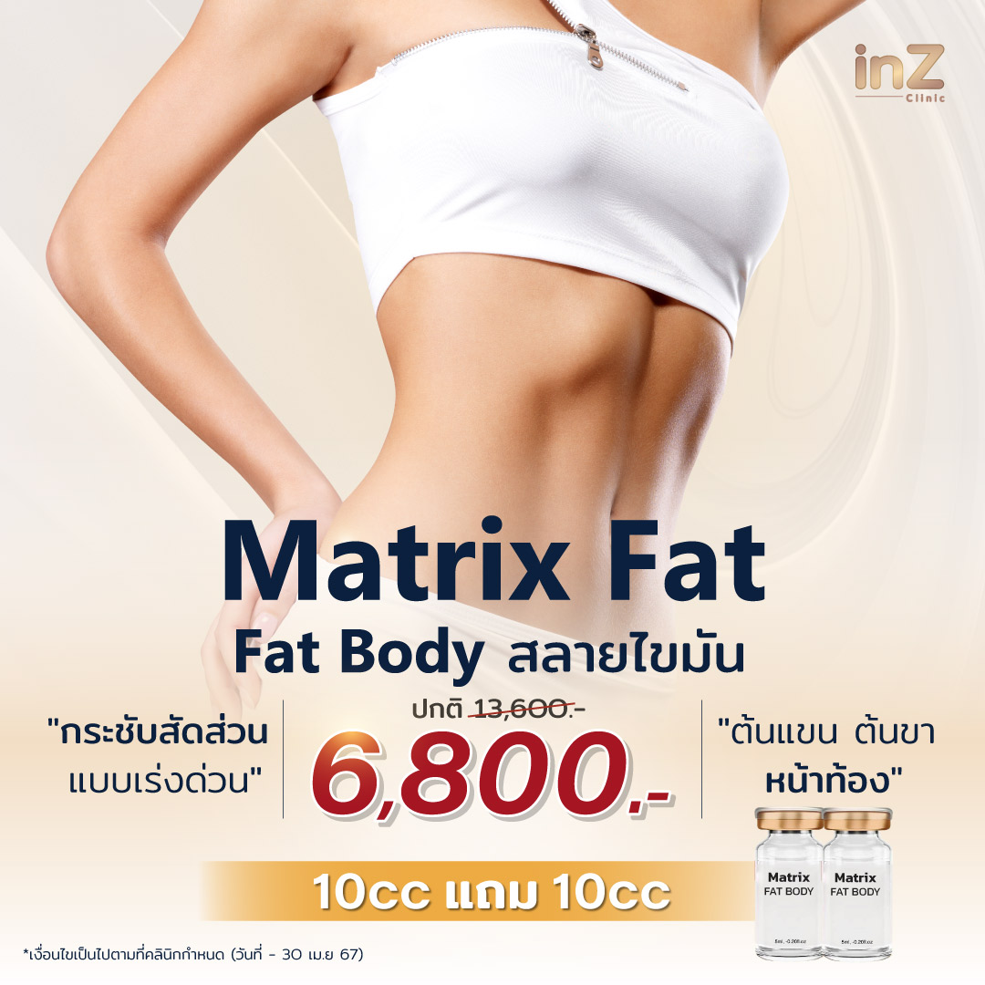 Matrix-Fat-body
