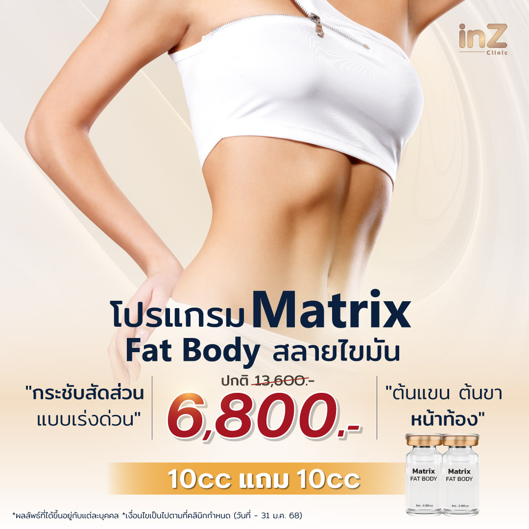 Matrix Fat Body