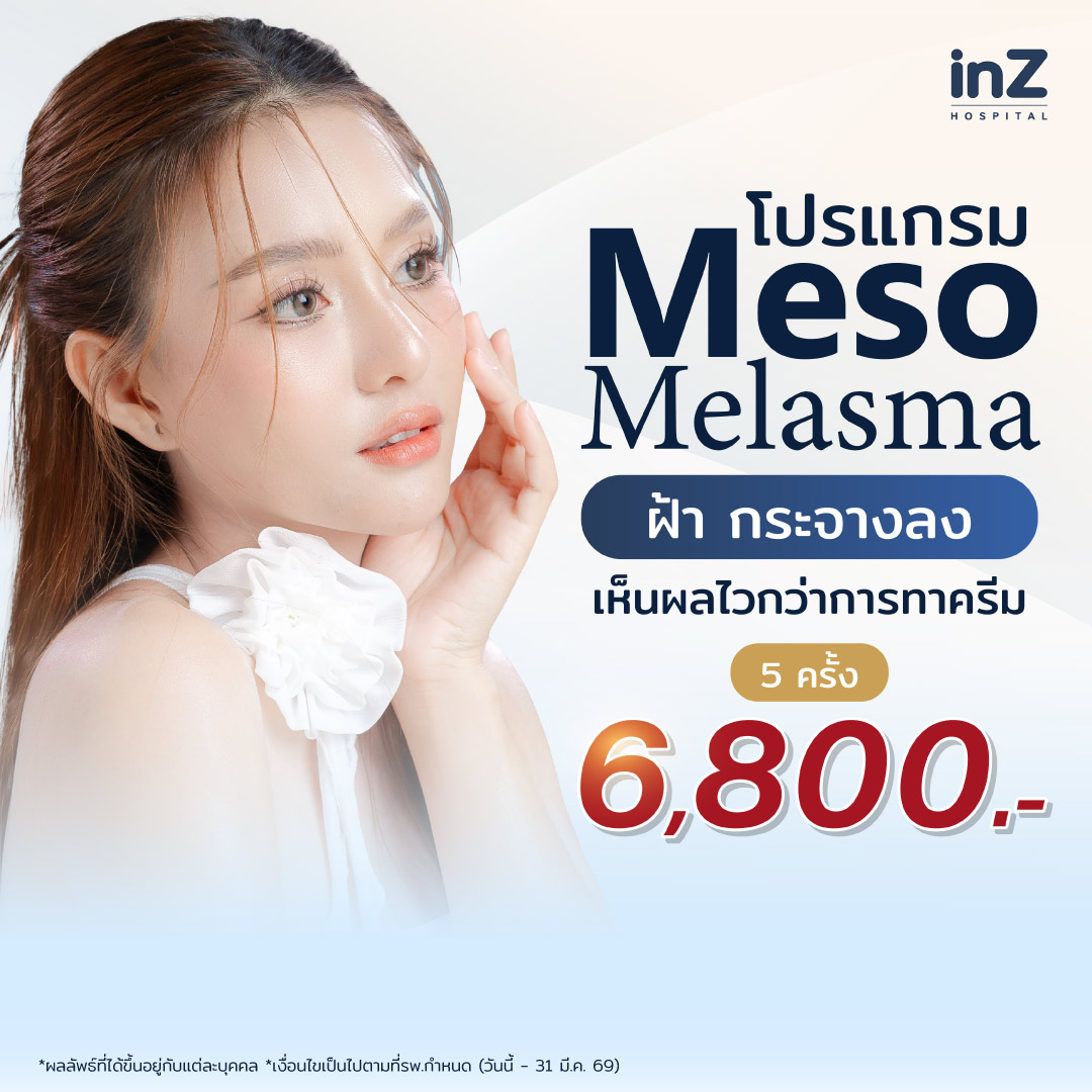 โปรแกรม Meso Melasma